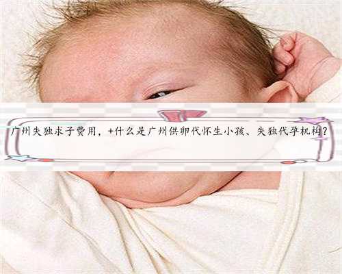 广州失独求子费用， 什么是广州供卵代怀生小孩、失独代孕机构？