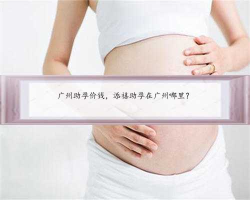 广州助孕价钱，添禧助孕在广州哪里？