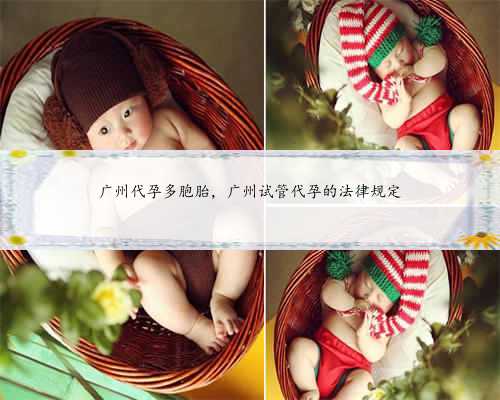 广州代孕多胞胎，广州试管代孕的法律规定