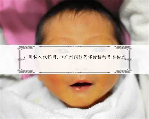 广州私人代怀网， 广州捐卵代怀价格的基本构成