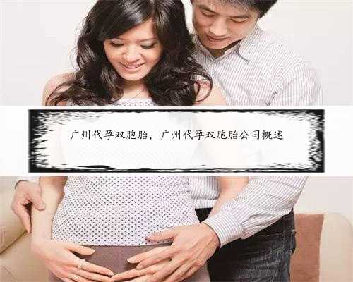广州代孕双胞胎，广州代孕双胞胎公司概述