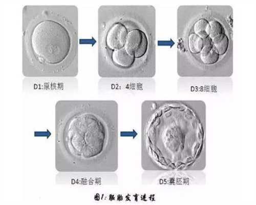 如何避免“唐广州代孕宝宝”降生？珠海这家医