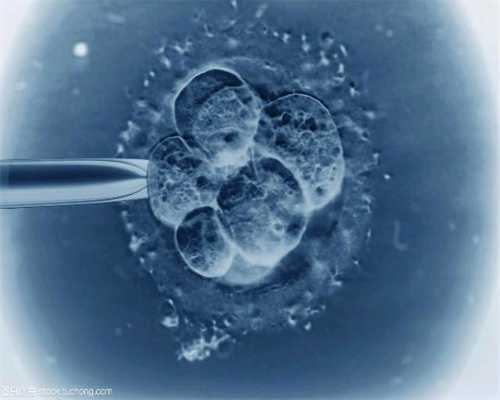 子宫内膜：义马代孕产子价格