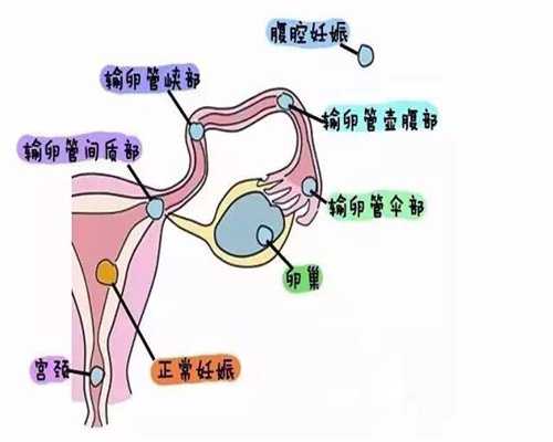 妊娠要健康不做肿妈妈：上海添丁辅助生育