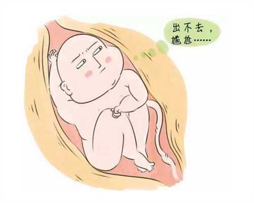 代怀孕75天胎儿图片：北京同仁堂助孕丸