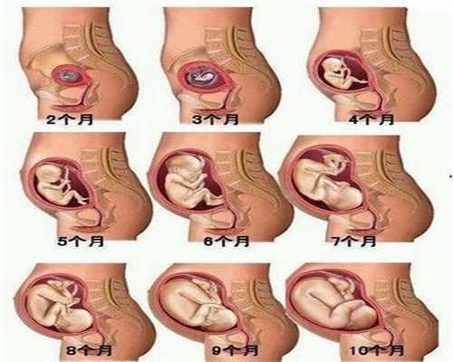 助孕了之后多久可以测出来：天津代孕男孩费用