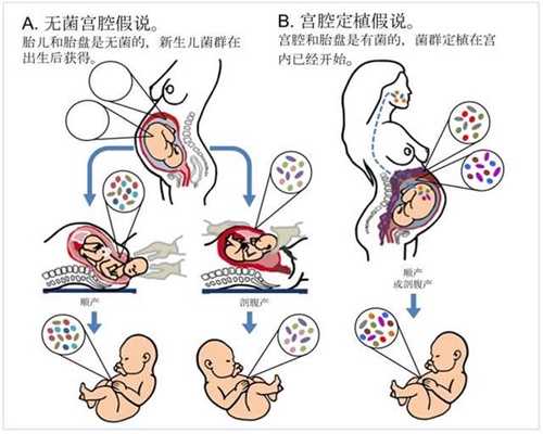 孕妇查出尿隐血3+对胎儿有什么影响