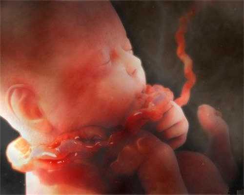 俄罗斯洗精，代孕女？：孕期胎儿十月发育过程