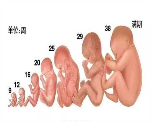 广州你哪里需要代孕妈妈：孕肚呢baby穿印花旗袍