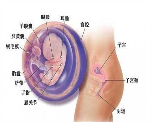 孕前检查孕前检查项目及费用：柳州市生殖助孕