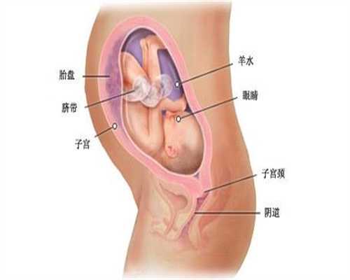 孕前检查孕前检查项目及费用：柳州市生殖助孕