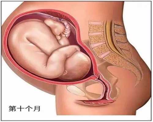 助孕初期胸闷怎么回事：血脉之代孕妈妈剧情