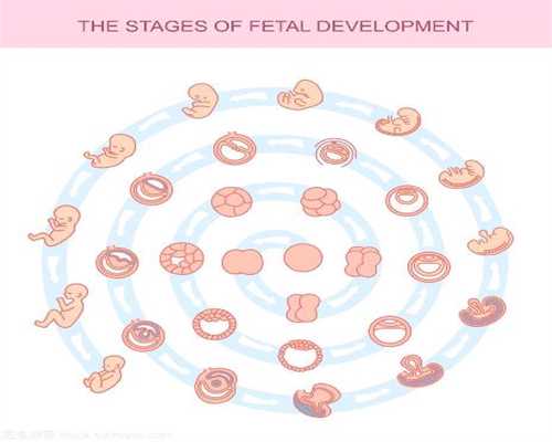 代孕孩子遗传谁的基因：张馨予代孕逛街，侧面
