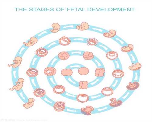 人鱼的悲催代孕生活微盘：孕妇为什么会无故流