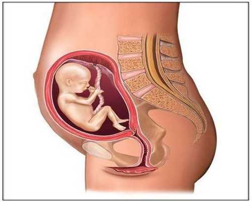代孕卵泡：助孕吃什么样的钙，维生素