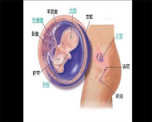 代孕卵泡：助孕吃什么样的钙，维生素