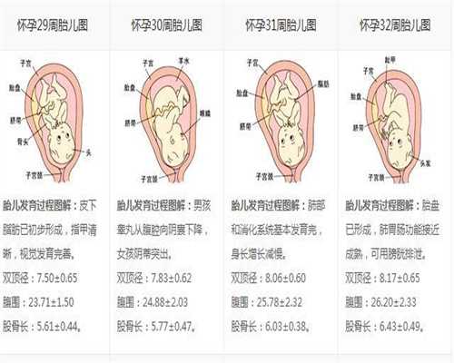 广州代孕_广州寻找代孕妈妈_广州试管婴儿代孕中