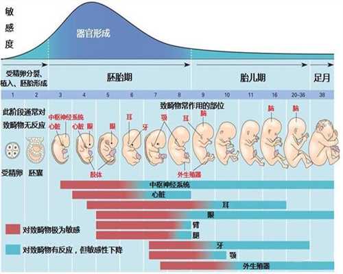 广州代孕_广州寻找代孕妈妈_广州试管婴儿代孕中
