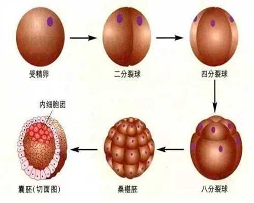 广州紫朵朵供卵靠谱吗,B超检查对胎儿的好处及影