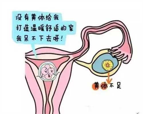 广州代孕-广州代孕费用为多少-广州找女人代孕需