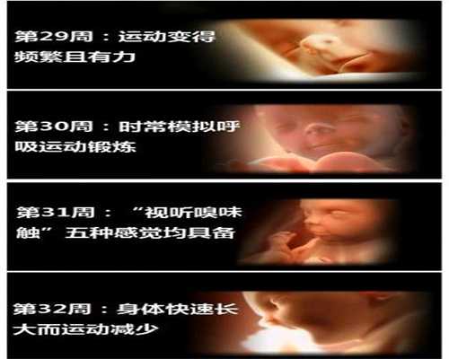 广州代孕套餐-广州代孕成功案例-广州捐卵代孕成