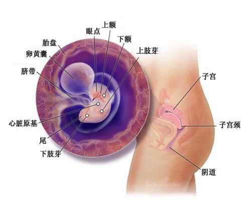 广州代孕机构-广州代孕高薪招聘-广州如何找代孕