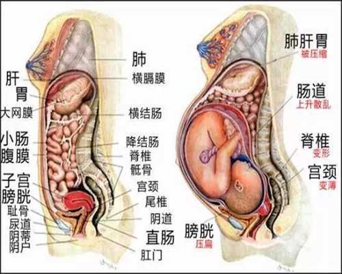 广州试管代孕-广州代孕哪家便宜-广州代孕最新法