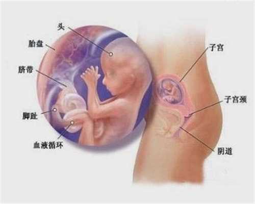 广州代孕公司地址_广州代孕的价位