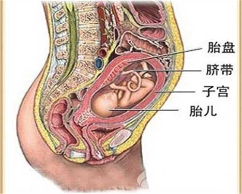 广州代孕_广州合法代孕_广州那里做代孕较好