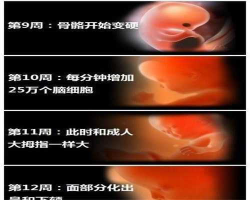 广州代孕-广州代孕医院-广州代孕包生男孩多少钱