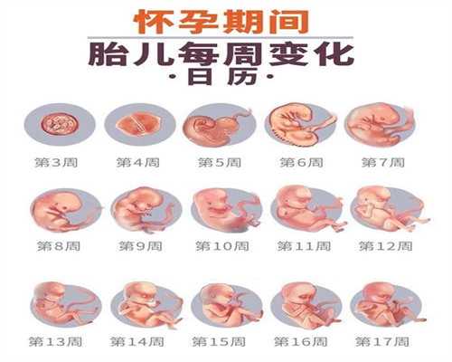 广州试管婴儿新闻,广州借腹生子哪家好代孕代孕