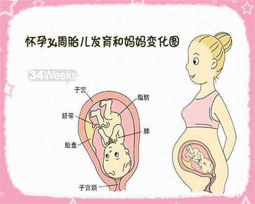 广州代孕-广州代孕怎么联系-广州做代孕成功率有
