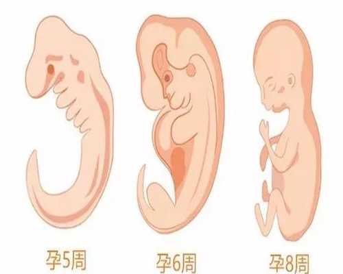 广州仁爱体检中心电话_广州我为别人代孕了8个孩