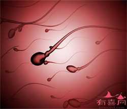 广州高龄生子_广州代孕哪家优惠_广州试管代孕筛选性别