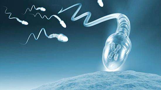 代生宝宝合法吗,性染色体异常可以生宝宝吗？