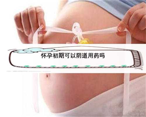怀孕初期可以阴道用药吗