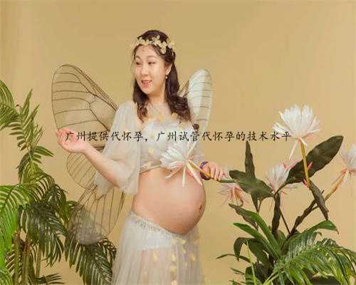 广州提供代怀孕，广州试管代怀孕的技术水平
