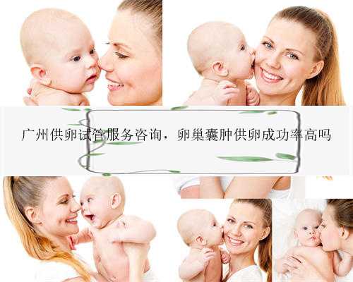 广州供卵试管服务咨询，卵巢囊肿供卵成功率高吗